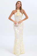 Robe Maxi Diray