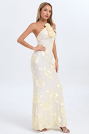 Robe Maxi Diray