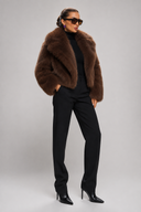 Veste Romane