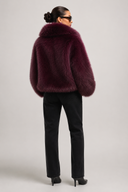 Veste Romane