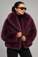 Veste Romane